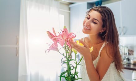 Primavera: 4 flores para decorar seu apartamento